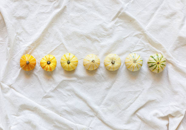 White Autumn Harvest Background. White flat lay with copy space.