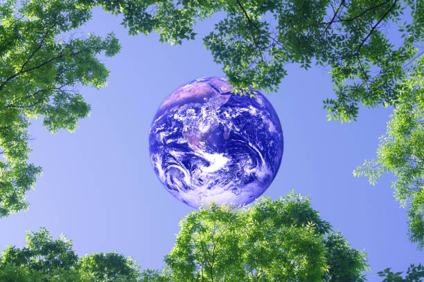 Image of a sustainable earth