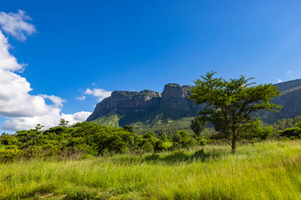 istock Green grass and blue sky at the mountain 2178646603