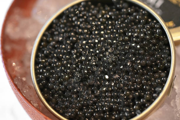 Black caviar in an open tin can placed in an ice container to keep it cold.