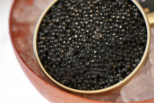 istock Black caviar in an open tin can placed in an ice container to keep it cold. 2178650410