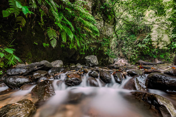 istock River flow on rocky river. Beautiful landscape of mountain river. River stream flowing between rocks. 2178653786