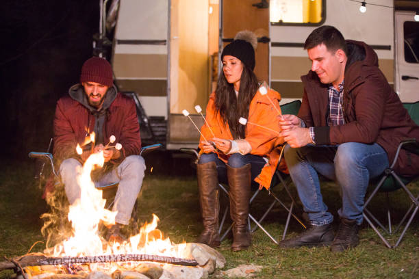 istock Close friends roasting marshmallows together around camp fire 2178658239