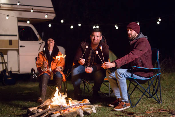 istock Young and cheerful friends sitting around camp fire 2178658285
