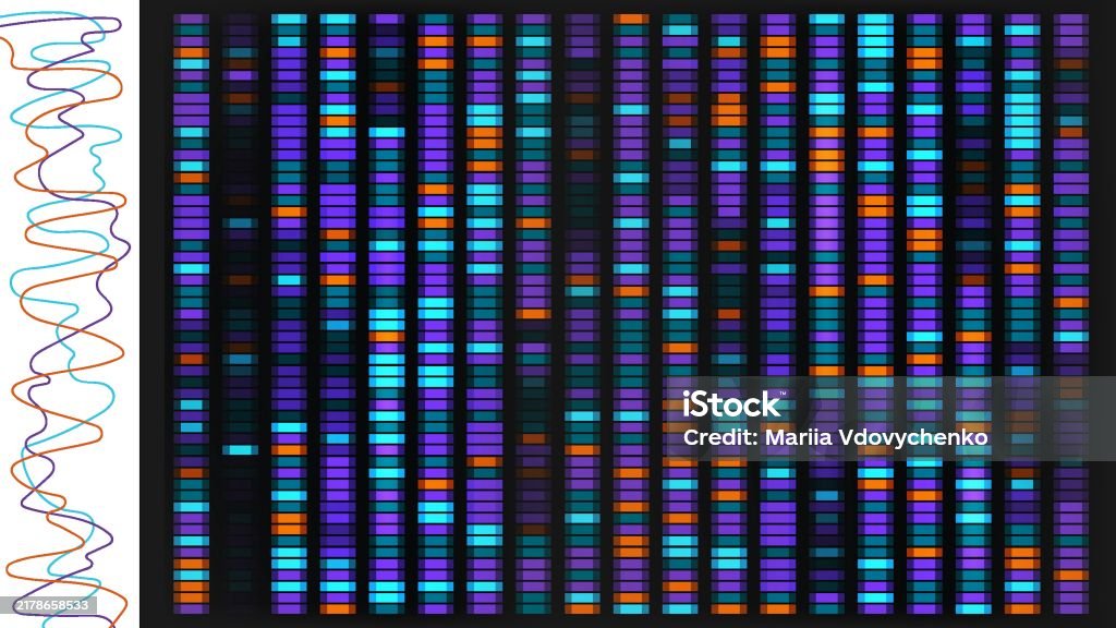 Dna Sequence Map Vector Bg Genetic Data Visualization With Chart For ...