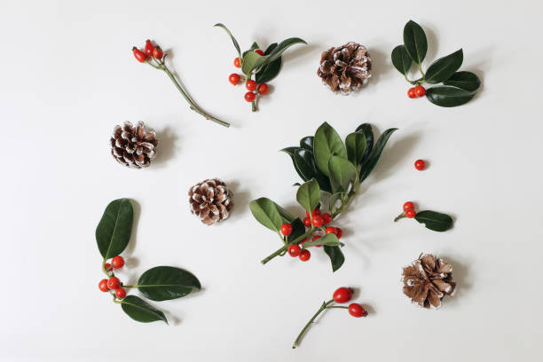 istock Holly, pine cones and rose hips isolated on white table background. Winter Holiday evergreen, red berries arrangement. Christmas floral pattern, decorative banner. Festive natural flat lay, top view. 2178662006