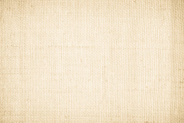 Blank paper background