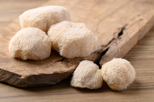 istock Lion's Mane mushroom or Yamabushitake mushroom 2178663205