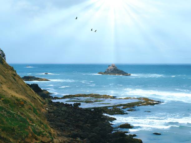 A beautiful view of a rocky coastline with waves crashing against the shore, under a clear blue sky. In the distance, a small rock island rises from the ocean, while birds fly overhead, adding a touch of life to the peaceful seascape. The image captures the natural beauty and serenity of the ocean, evoking a sense of calm and connection to nature