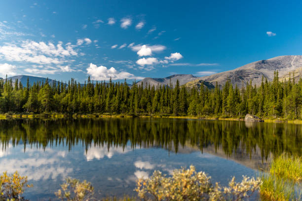 Gravel Lake on the Klondike Loop is an important wetland for migratory birds in spring and fall.Yukon Territory,Canada.