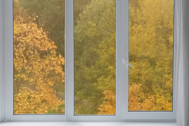 istock View from the window, yellow trees, landscape with autumn forest. 2178676111