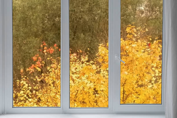 istock View from the window, yellow trees, landscape with autumn forest. 2178676121