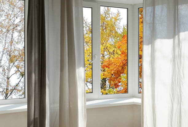 View from the window, yellow trees, landscape with autumn forest.