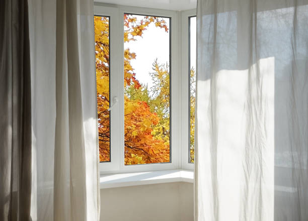 istock View from the window, yellow trees, landscape with autumn forest. 2178676140