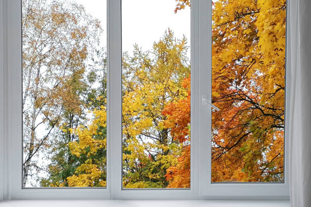 istock View from the window, yellow trees, landscape with autumn forest. 2178676142