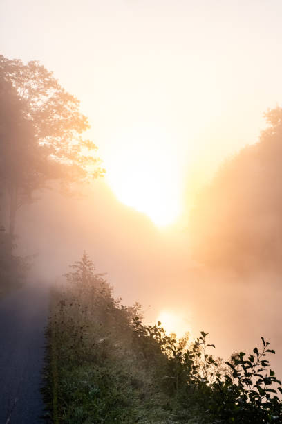 istock Morning light casts a glow over the misty river landscape, creating a tranquil scene 2178676467