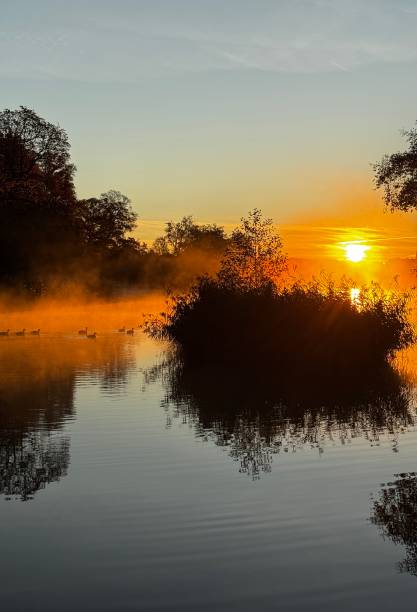 istock Autumn fog sunrise 2178679083