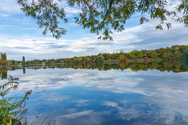 istock Vibrant Autumn Trees Turning Orange and Yellow by Max-Eyth Lake in Stuttgart 2178680031