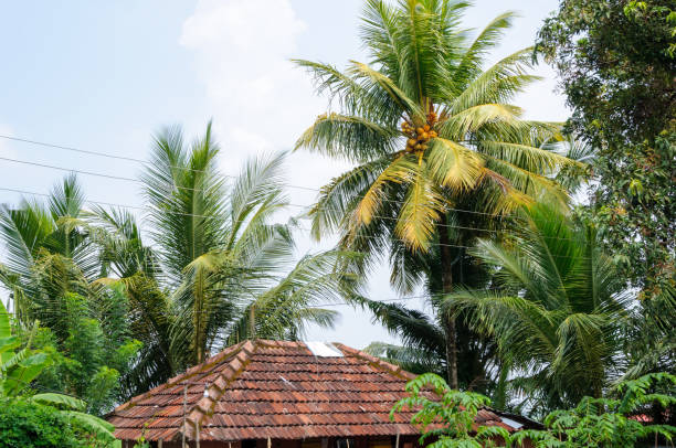 Southeast Asian ethnic minority characteristic houses