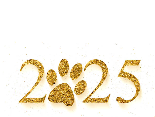 word 2025 and paw in golden glitter letters