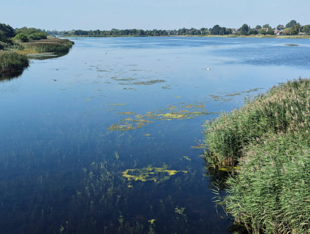 istock algae and water in the bay by the sea 2178682721