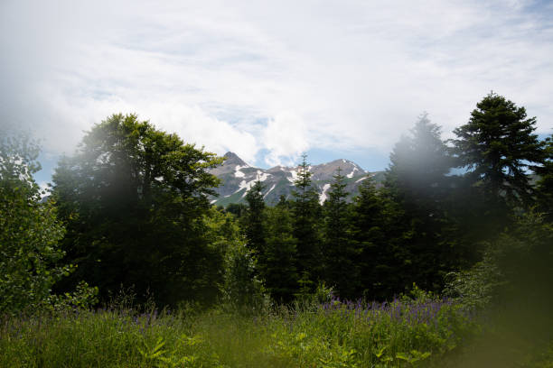 istock Beautiful mountain landscape in early spring. 2178683587