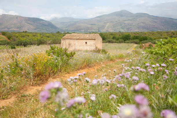 Vendicari Nature Reserve, Syracuse district, Sicily, Italy