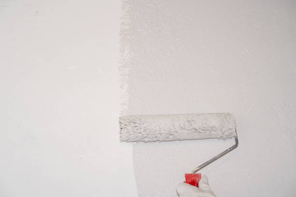 istock A woman manually paints a wall with a paint roller. Painting the apartment 2178691028