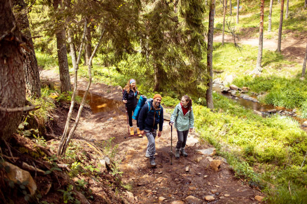 istock Young family hiking in a forest 2178691032
