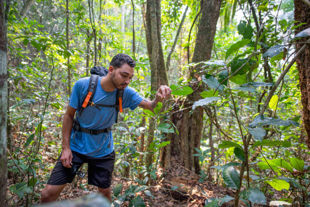 istock Backpacker man in tune and harmony with nature. 2178695504
