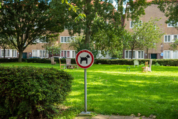 istock Sign No Dogs allowed in the park 2178697185