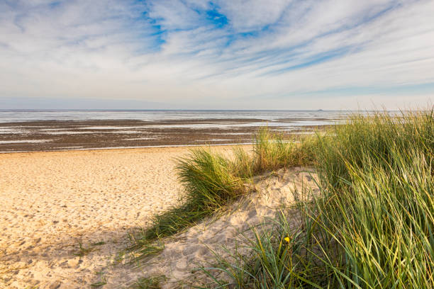 istock Dune at the wadden sea, Schillig, Germany 2178697612