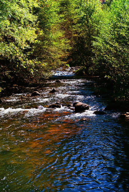 Film image Oak Creek near Sedona Arizona
