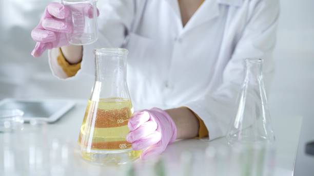 istock A scientist, wearing a lab coat and pink protective gloves, is pouring a yellow oily liquid from one beaker to another in laboratory, close up. Medicine and science 2178704079
