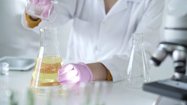 istock A scientist, wearing a lab coat and pink protective gloves, is pouring a yellow oily liquid from one beaker to another near microscope in laboratory, close up. Medicine and science 2178705564