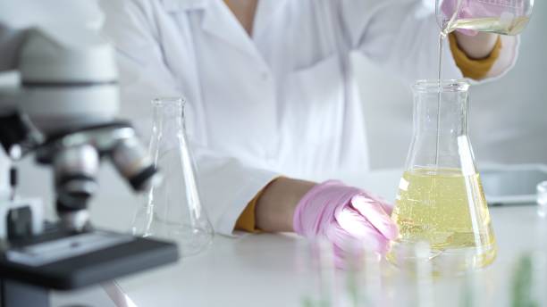 istock A scientist, wearing a lab coat and pink protective gloves, is pouring a yellow oily liquid from one beaker to another near microscope in laboratory, close up. Medicine and science 2178706637