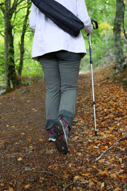 istock Woman hiking along a forest path in autumn 2178707114