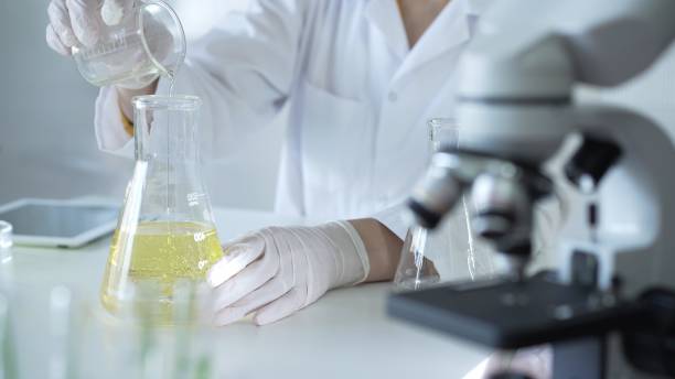 istock A scientist, wearing a lab coat and white protective gloves, is pouring a yellow oily liquid from one beaker to another near microscope in laboratory, close up. Medicine and science concept 2178707757