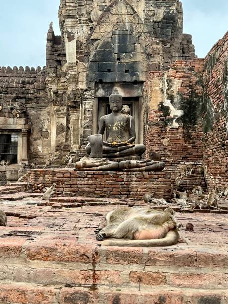 Thailand- Lopburi- Phra Prang Sam Yod ( Monkey temple)