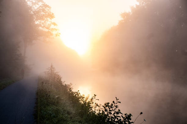 The Serene Morning Light Casts a Beautiful Glow Over the Misty River Pathway Ahead