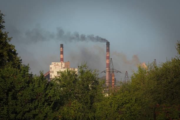 Wide panoramic view of multiple smokestacks and cooling towers releasing dense plumes of smoke into a yellow hazy sky with bright low sun above an industrial city and dark forest foreground. The dramatic backlight, smog and large sky copy space highlight air pollution, fossil fuel energy, climate change, environmental disaster and urban ecology concepts for environmental, energy and sustainability topics.