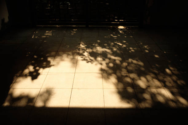 This photo captures the intricate play of light and shadow on an outdoor pavement. Sunlight streams through leaves, casting dappled shadows on the ground, creating a serene and natural atmosphere. The image is simple yet rich in texture, making it ideal for themes related to the outdoors, natural lighting, or abstract visual concepts.