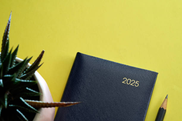 istock 2025 blue diary and pencil with succulent  against yellow background 2178725701