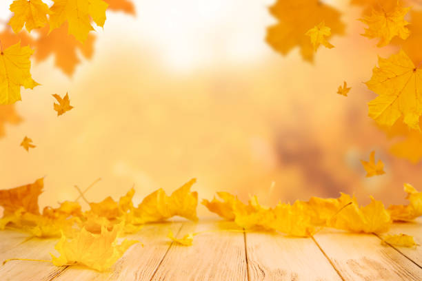 istock Autumn empty wooden table with falling yellow maple leaves on defocused autumn forest nature background at sunset. Thanksgiving, Halloween or autumn background with copy space. 2178728450