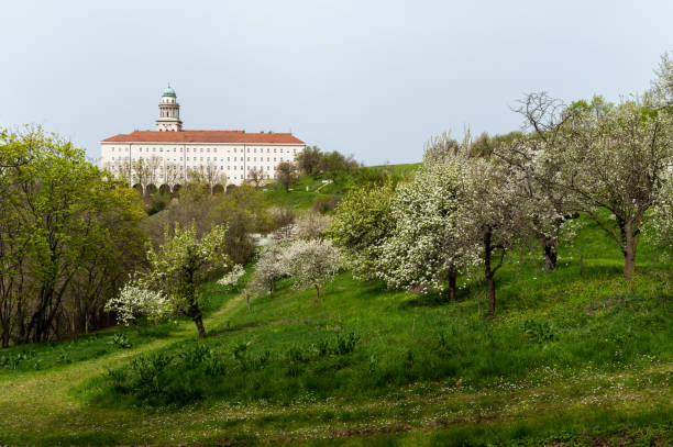 A scenic view of the Benedictine Pannonhalma Archabbey set against a backdrop of a blooming orchard and green hillside. The abbey's dome and red-tiled roof rise above the flowering trees, emphasizing the peaceful harmony between the historic structure and the surrounding nature.