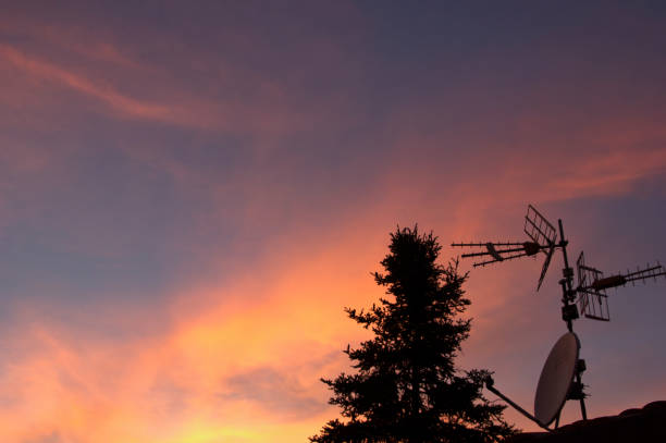 view of TV antenna and tree top against sunset sky