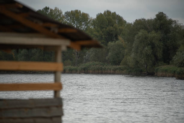 Landscape of a lake or river in cloudy weather. Green trees and reeds can be seen on the opposite bank.