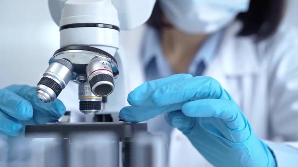 istock Scientist using microscope in laboratory. Close-up of a researcher's hands adjusting a modern microscope in a lab setting 2178732710