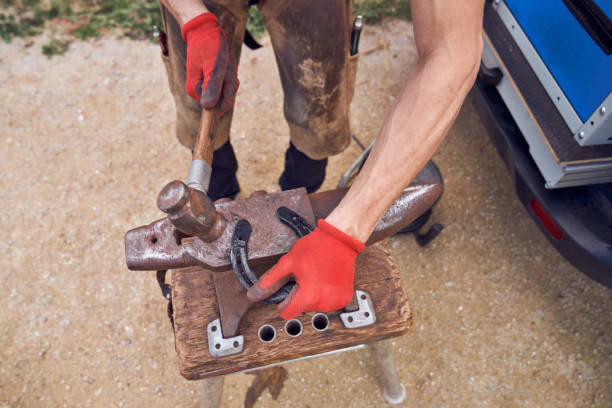 istock Blacksmith boy working on the anvil changing the horseshoe to a paw with tools 2178735408