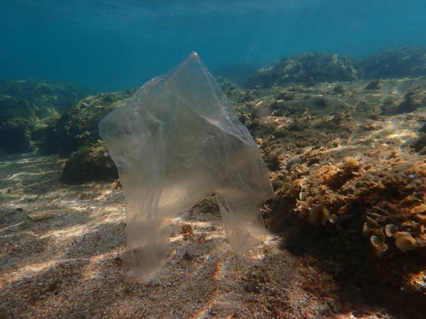 istock Plastic garbage underwater, Aegean Sea. Sea pollution. 2178735767